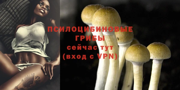 spice Новокубанск