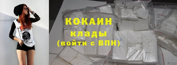 гидропоника Новозыбков