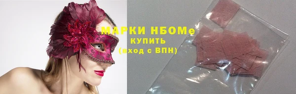 гидропоника Новозыбков