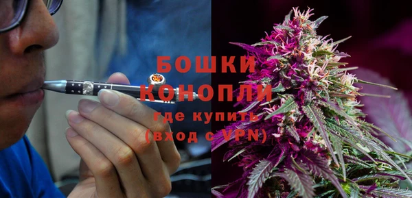 гидропоника Новозыбков